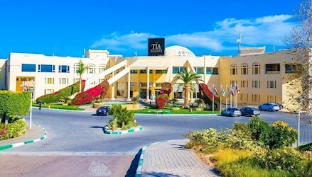 Поиск туров